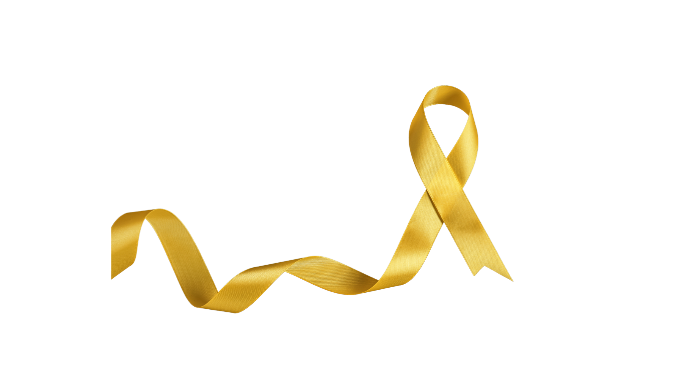 hamburger netzwerk zu suizidprävention (2)