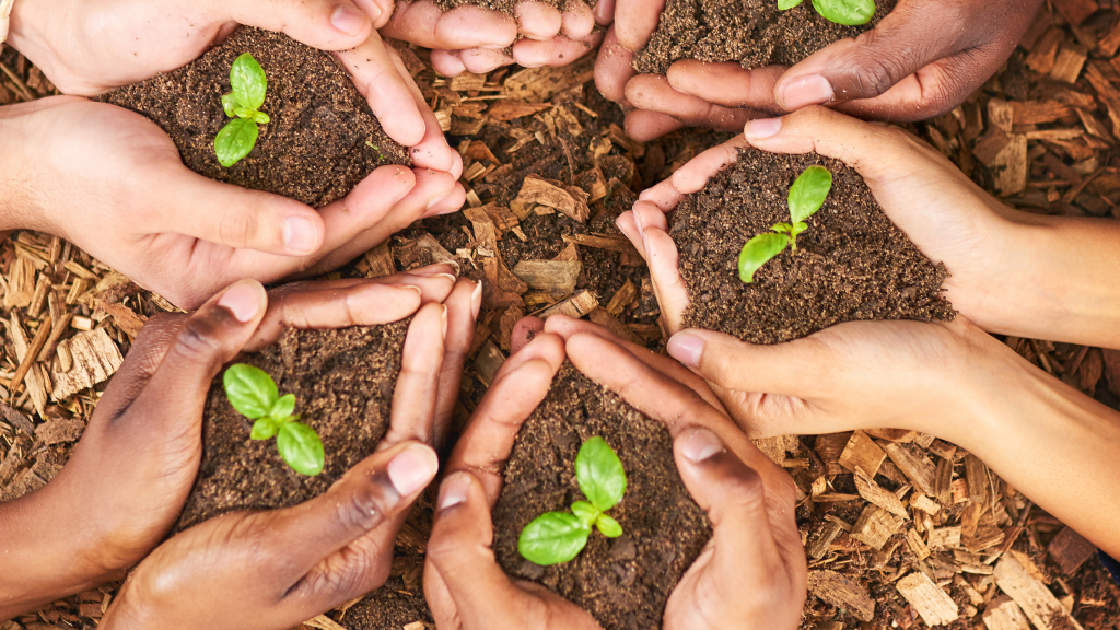 hamburger netzwerk zu suizidprävention (14)