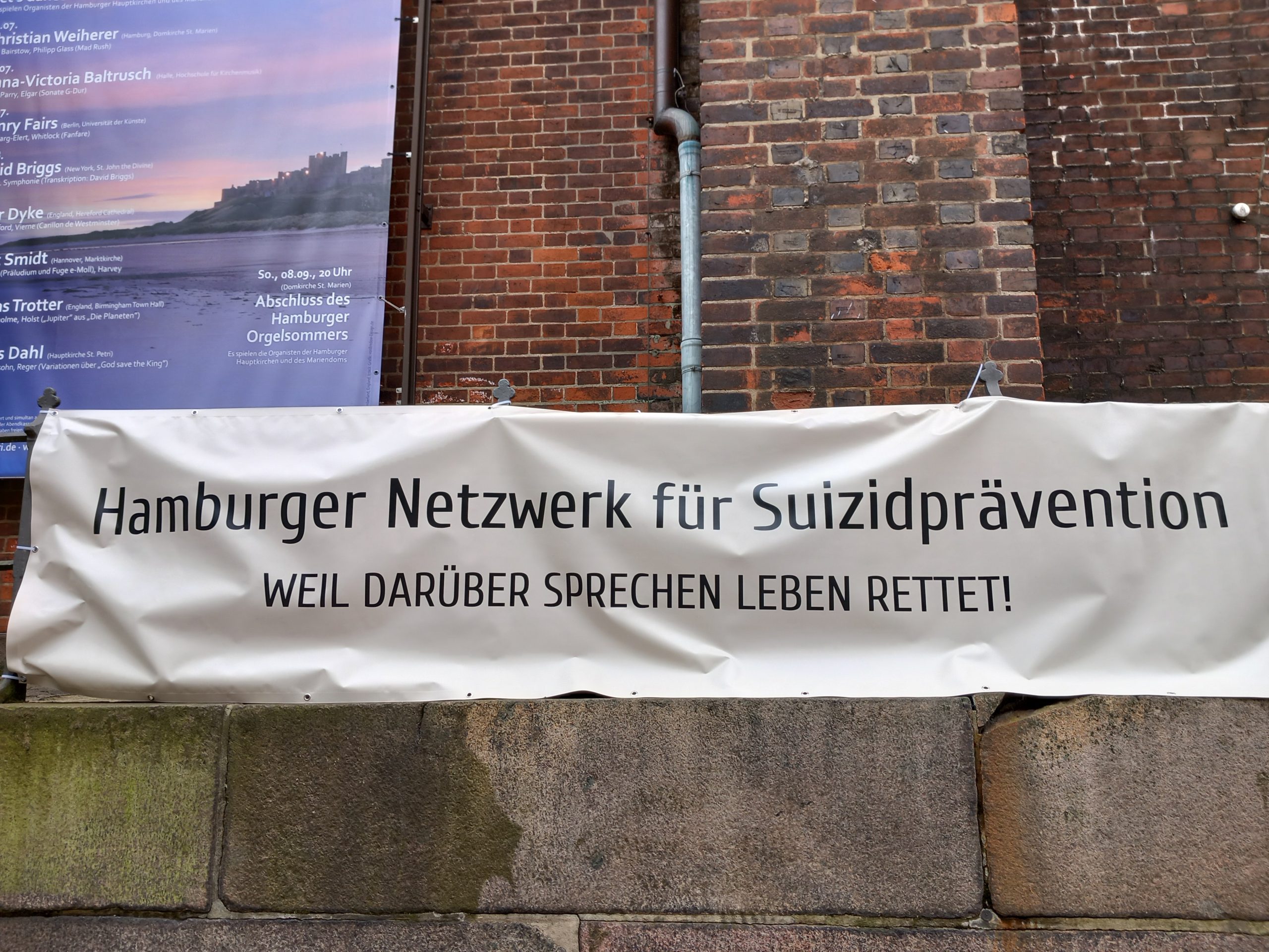 Banner WSPT HANS Scaled